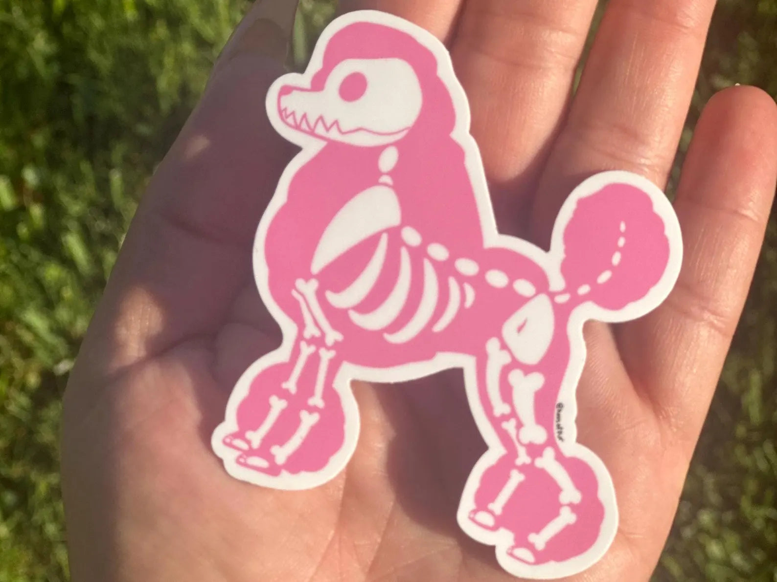 Skeleton poodle sticker